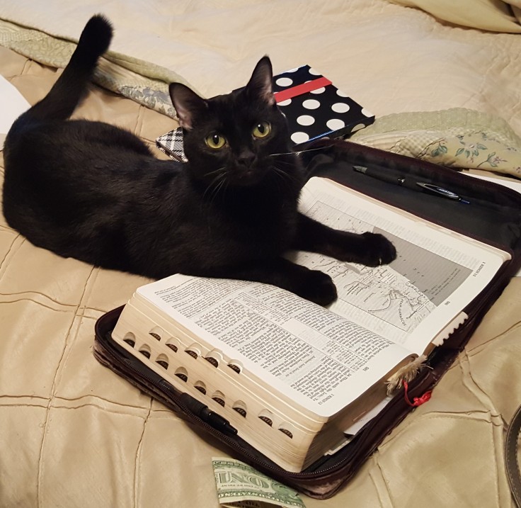 percy and bible.jpg