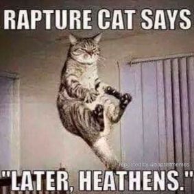 rapture cat