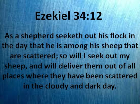Ezekiel 34_12